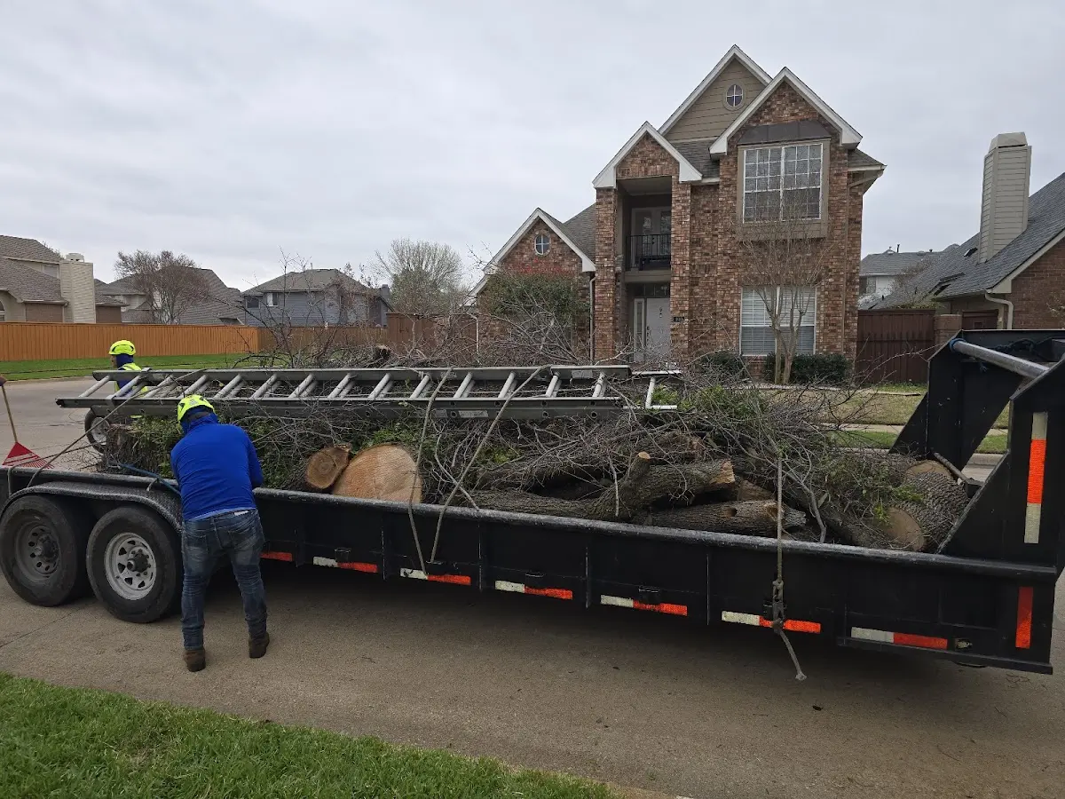 Expert Tree Fertilization with proper safety equipment in Hakalau